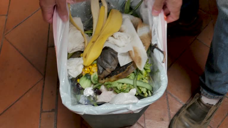 Best Carpet Removal and Disposal  in Bushyhead, OK